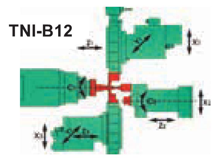 TNI-B12